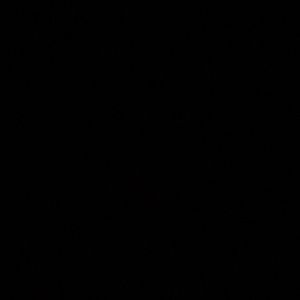 Meet your Posher, Laurel